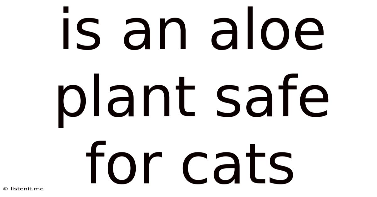 Is An Aloe Plant Safe For Cats