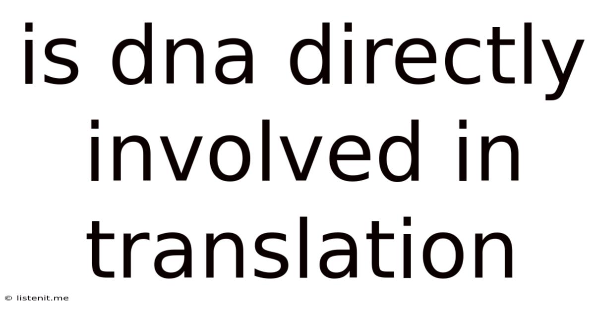 Is Dna Directly Involved In Translation