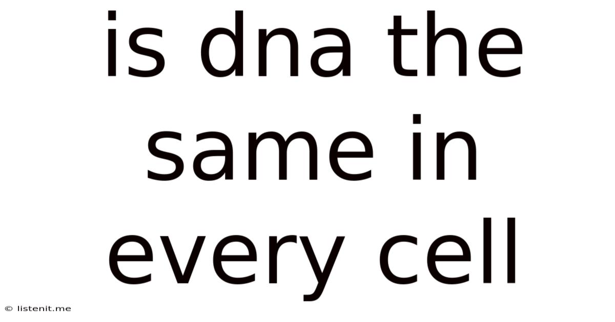 Is Dna The Same In Every Cell