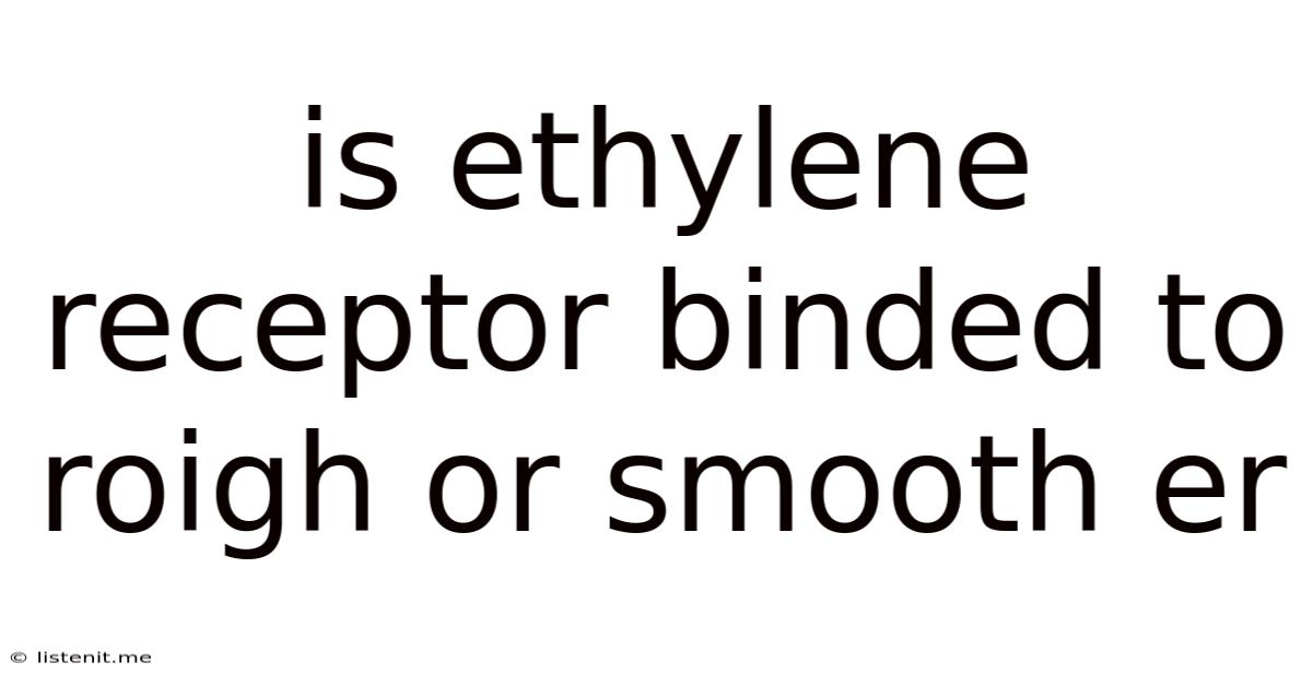 Is Ethylene Receptor Binded To Roigh Or Smooth Er