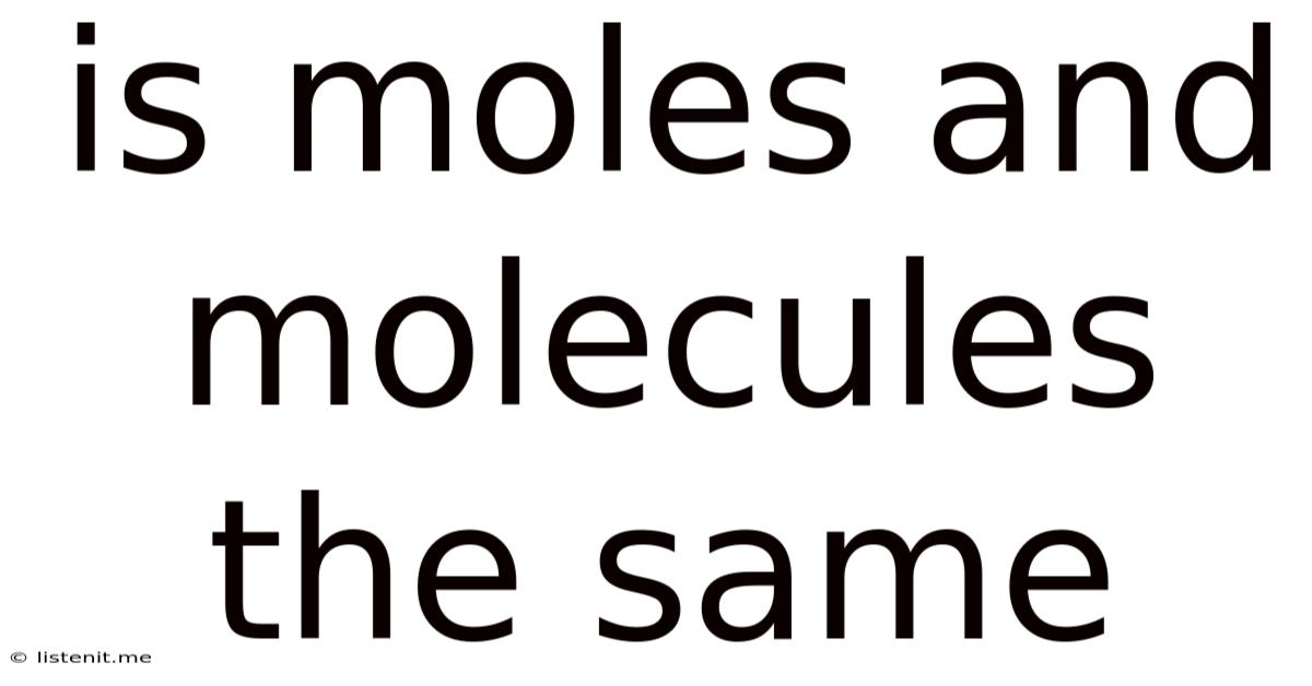 Is Moles And Molecules The Same