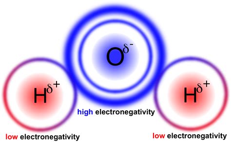 Is Oxygen More Electronegative Than Hydrogen