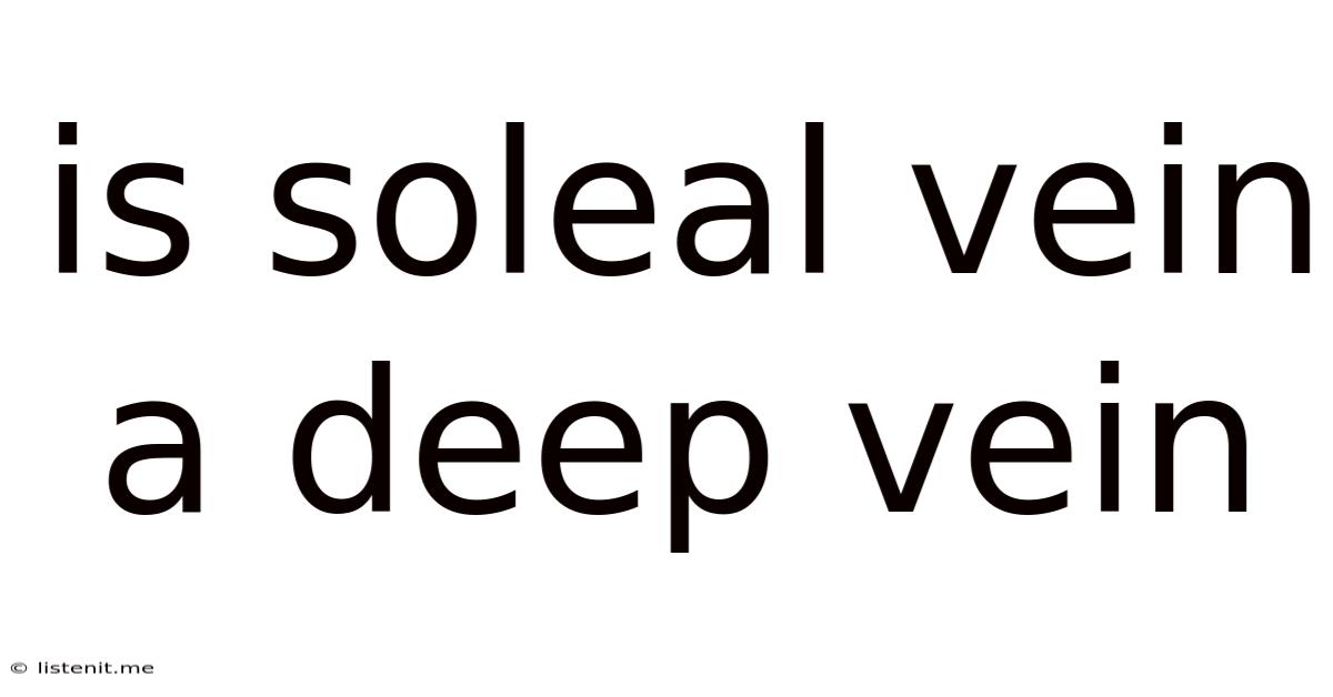 Is Soleal Vein A Deep Vein