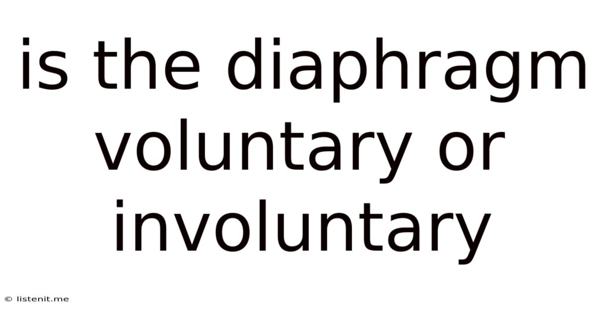 Is The Diaphragm Voluntary Or Involuntary