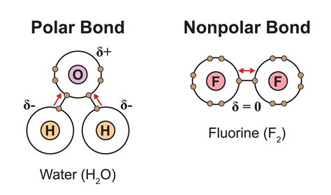 Is The O-h Bond Polar Or Nonpolar