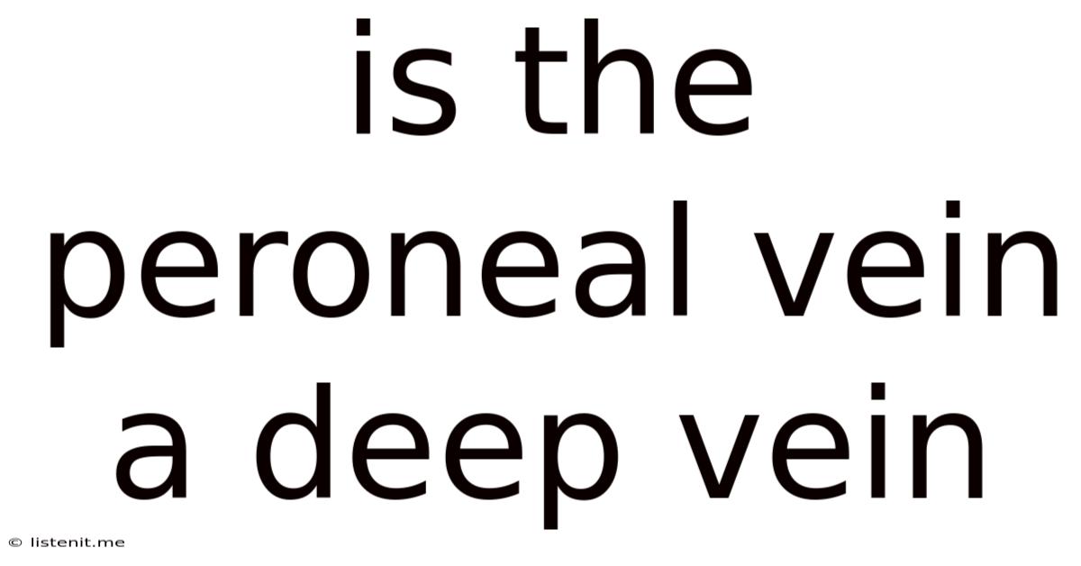 Is The Peroneal Vein A Deep Vein