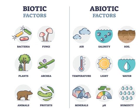 Is The Sun Abiotic Or Biotic