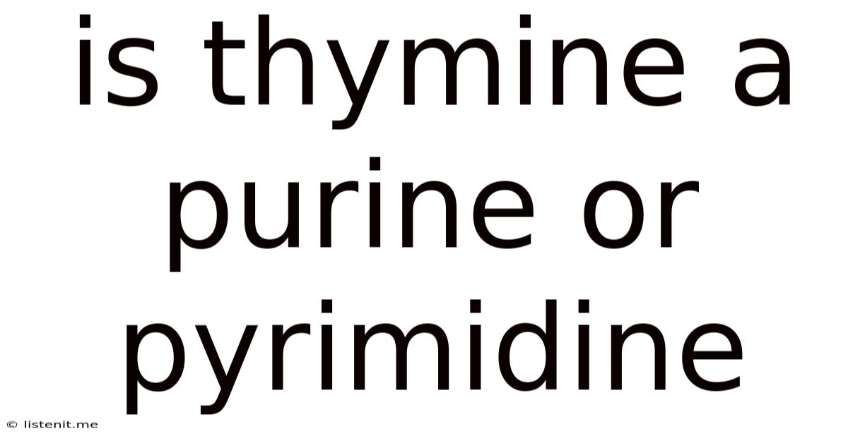 Is Thymine A Purine Or Pyrimidine