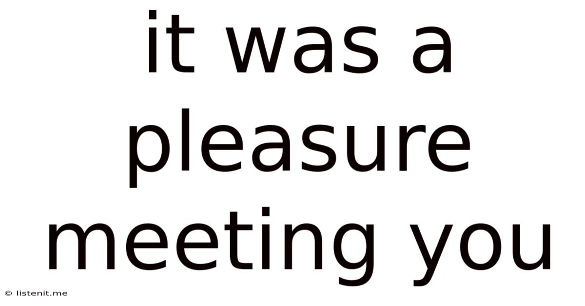It Was A Pleasure Meeting You
