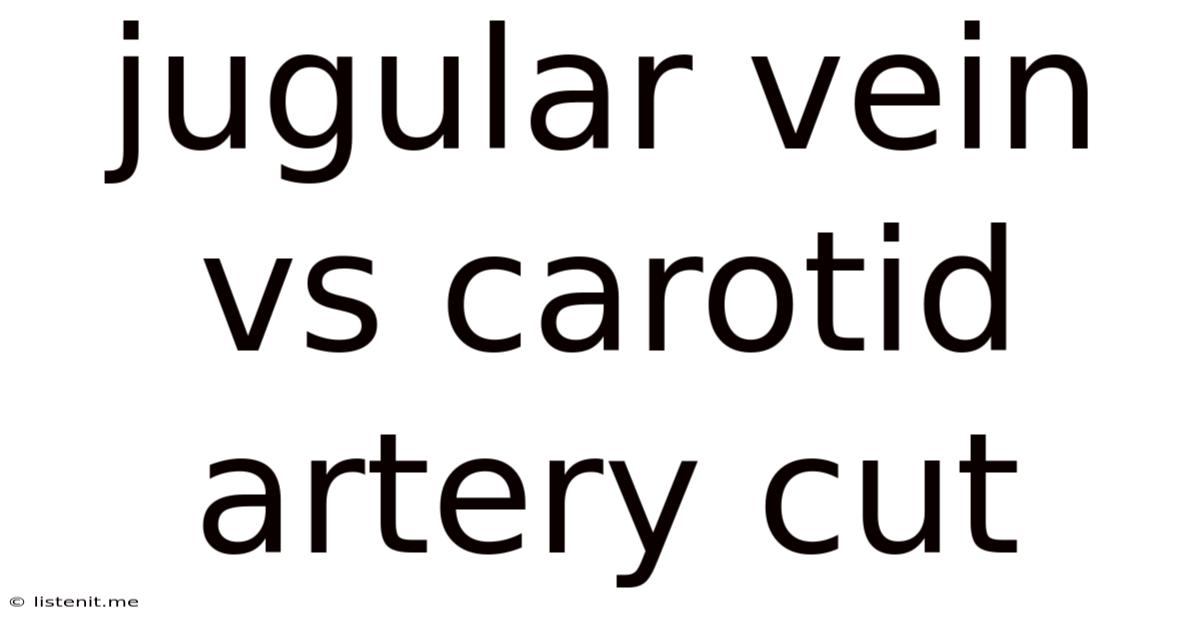 Jugular Vein Vs Carotid Artery Cut