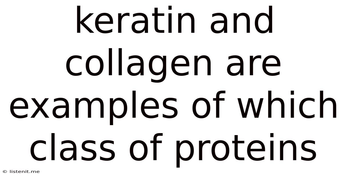 Keratin And Collagen Are Examples Of Which Class Of Proteins