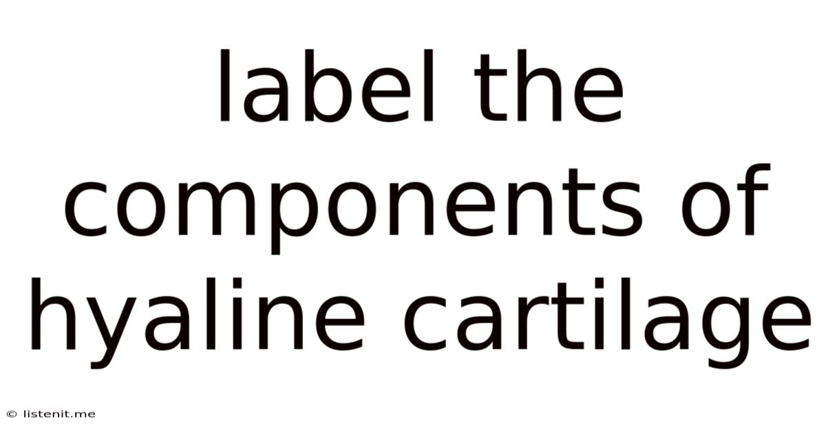 Label The Components Of Hyaline Cartilage