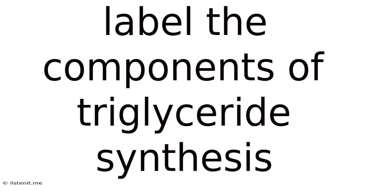 Label The Components Of Triglyceride Synthesis
