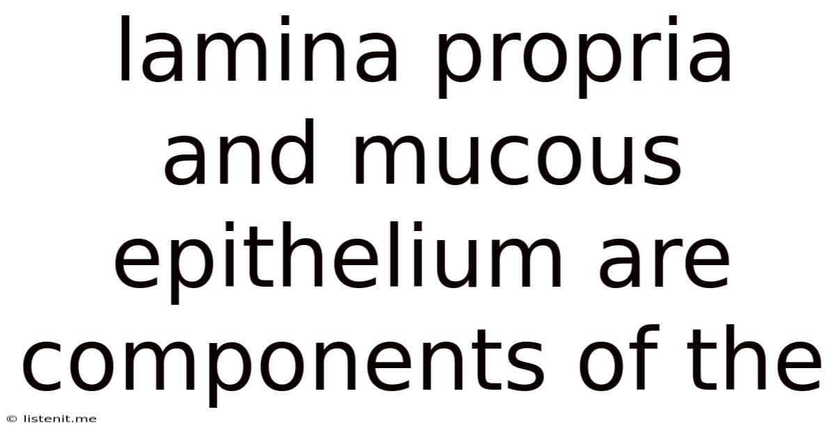 Lamina Propria And Mucous Epithelium Are Components Of The