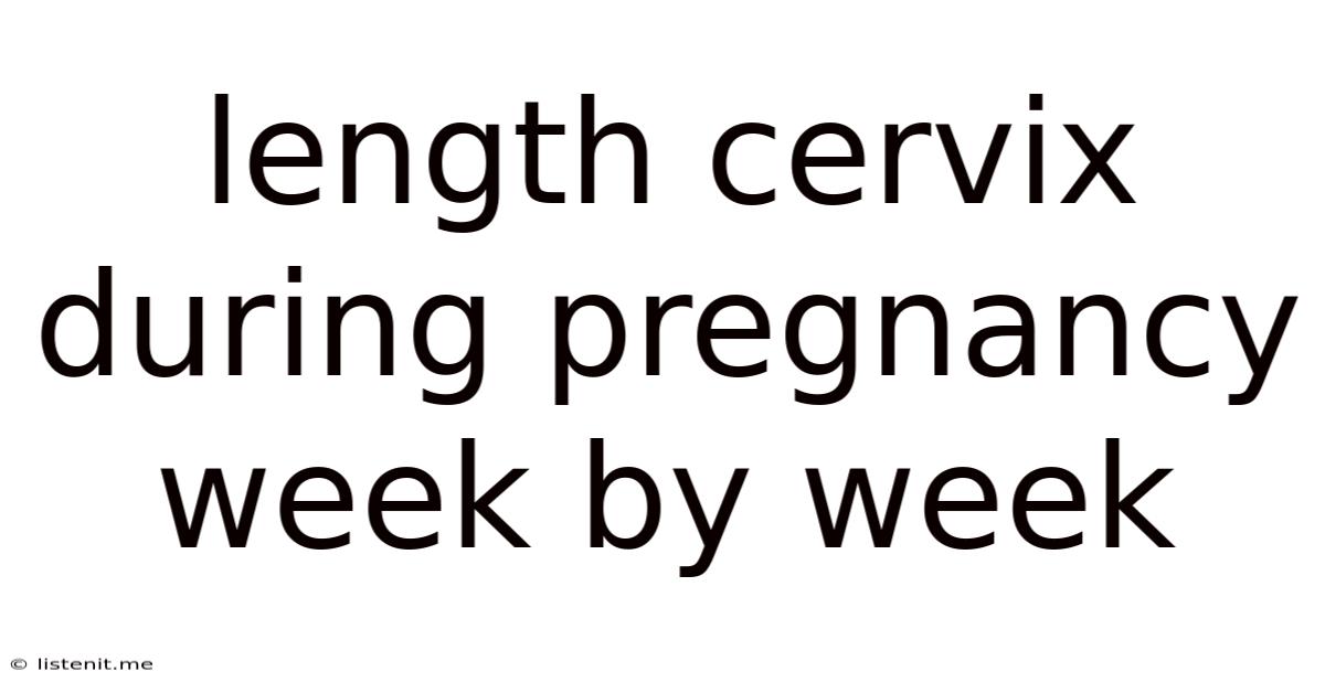Length Cervix During Pregnancy Week By Week