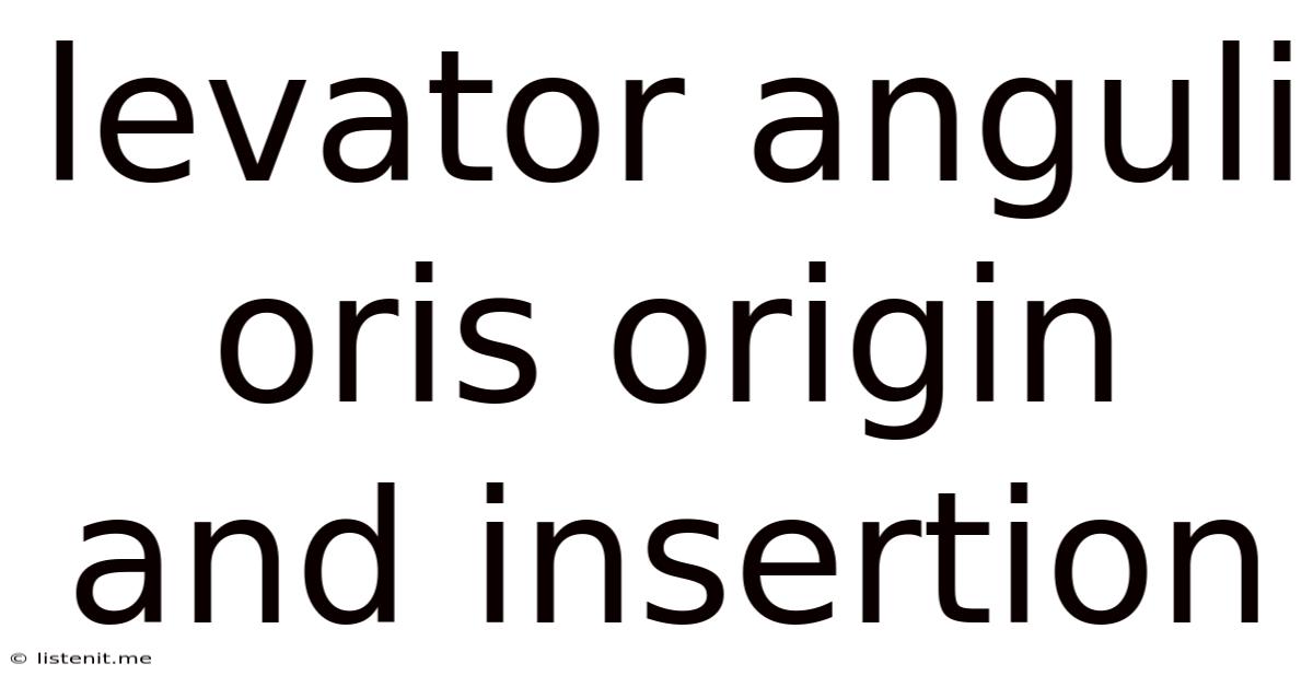Levator Anguli Oris Origin And Insertion