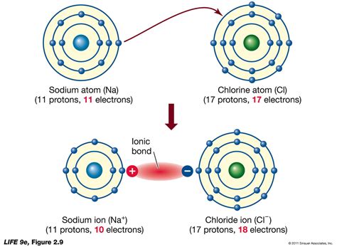 Lewis Diagram For A Ion With A Total Of Electrons