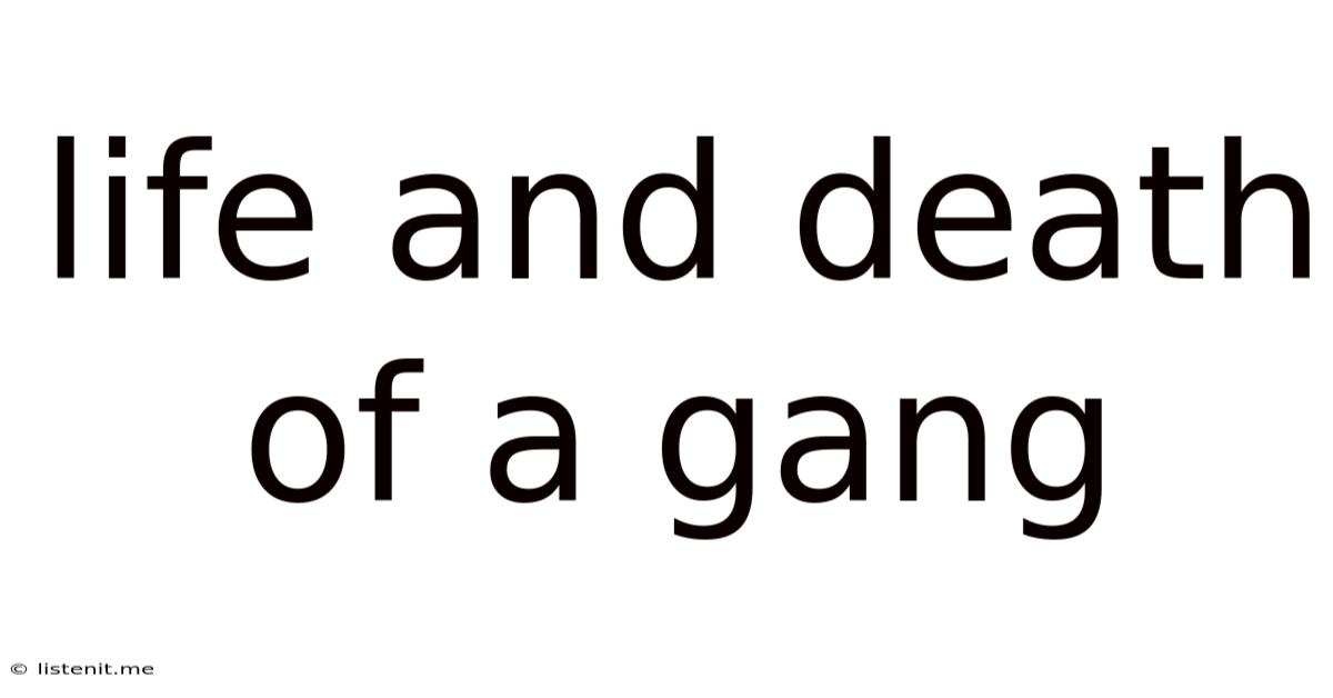 Life And Death Of A Gang