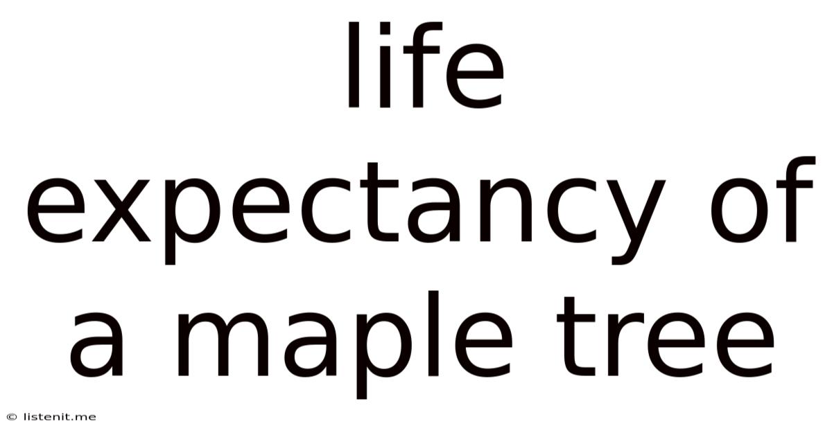 Life Expectancy Of A Maple Tree