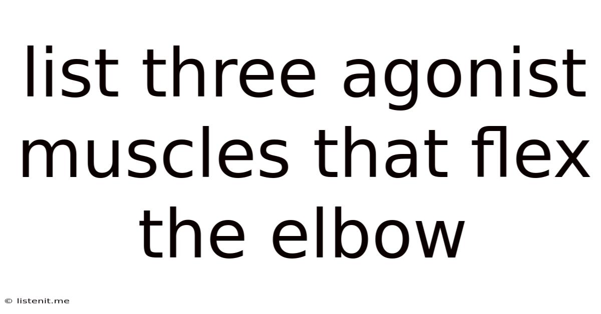 List Three Agonist Muscles That Flex The Elbow