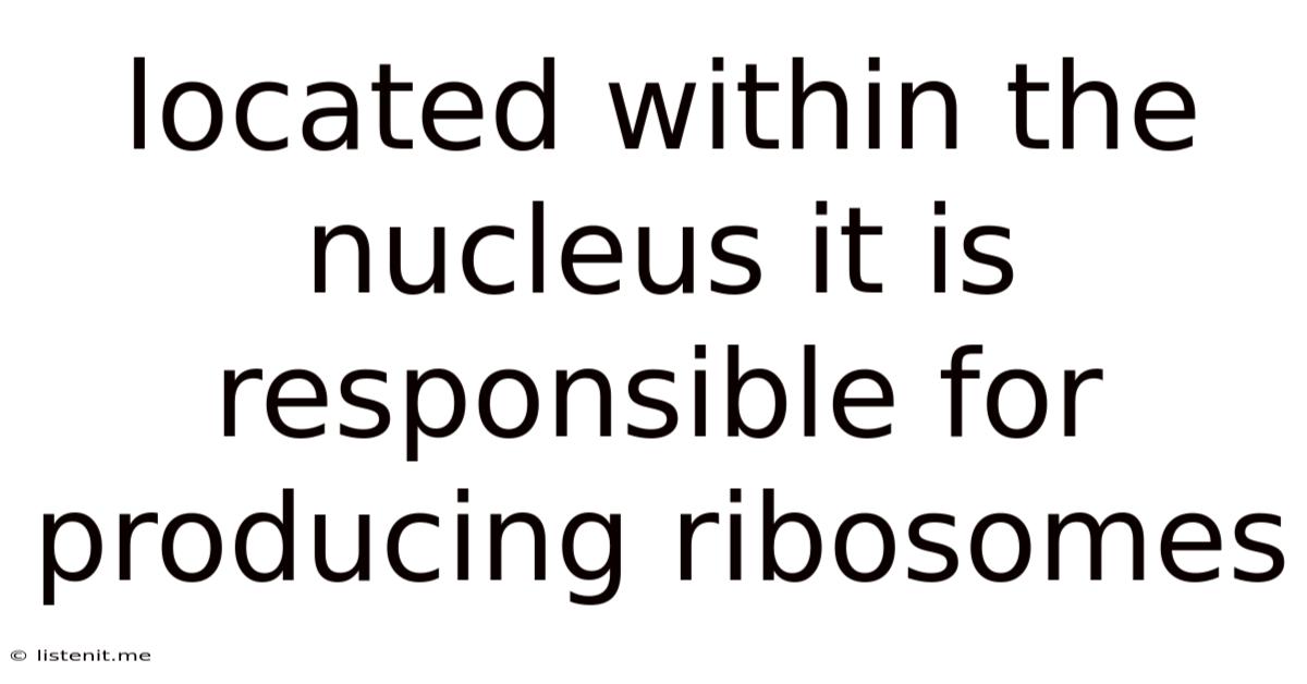 Located Within The Nucleus It Is Responsible For Producing Ribosomes