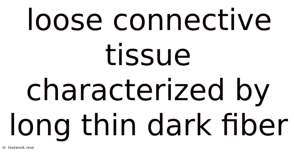 Loose Connective Tissue Characterized By Long Thin Dark Fiber