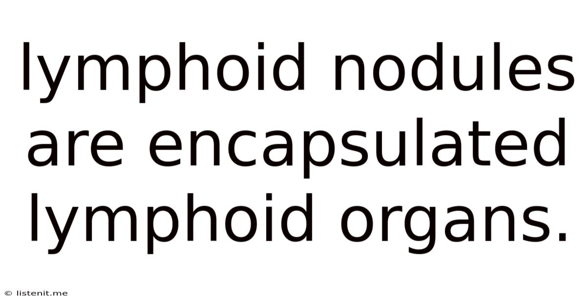Lymphoid Nodules Are Encapsulated Lymphoid Organs.