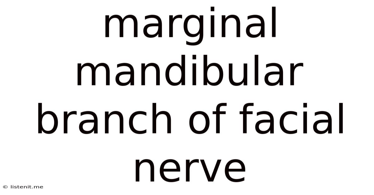Marginal Mandibular Branch Of Facial Nerve