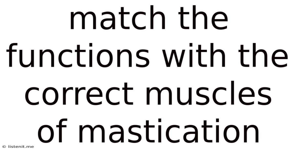 Match The Functions With The Correct Muscles Of Mastication