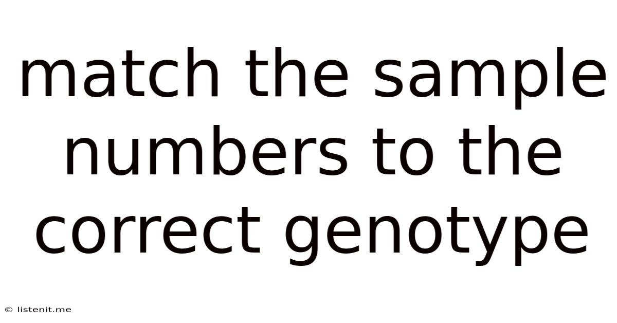 Match The Sample Numbers To The Correct Genotype