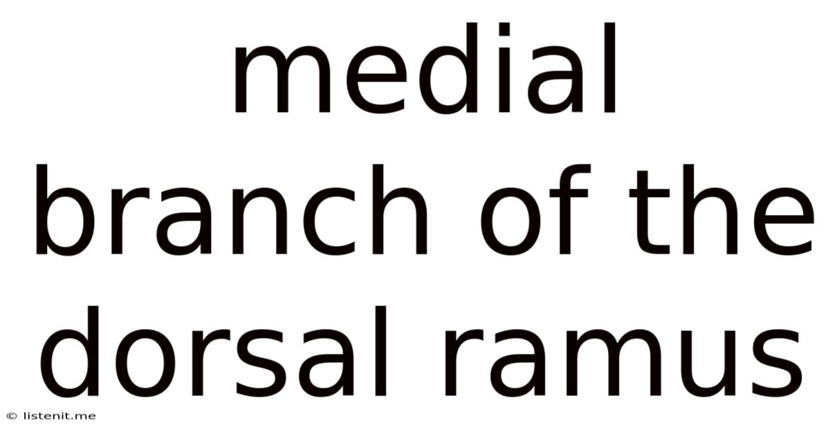 Medial Branch Of The Dorsal Ramus