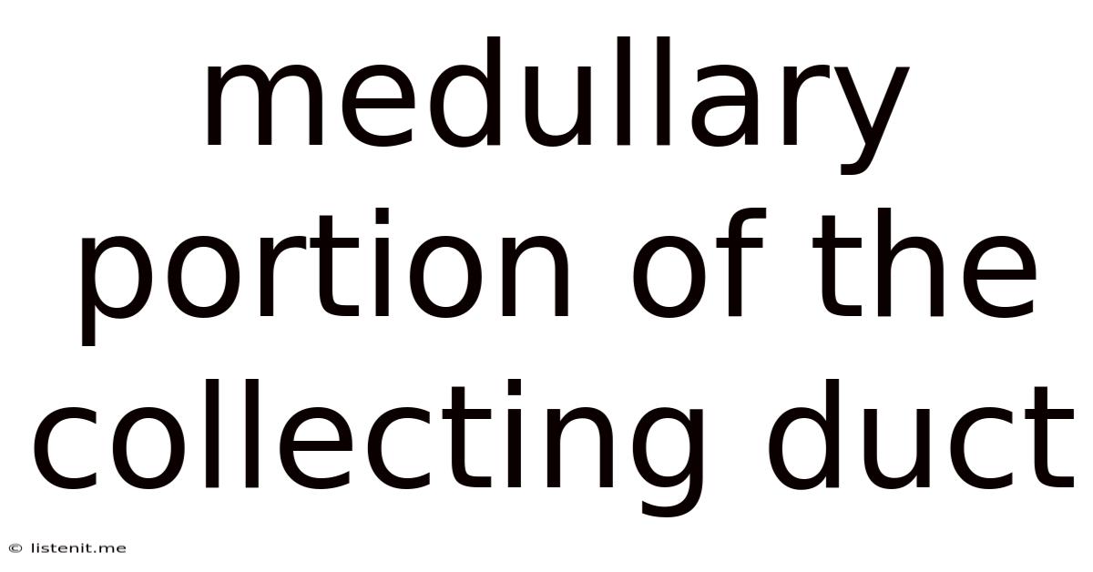 Medullary Portion Of The Collecting Duct