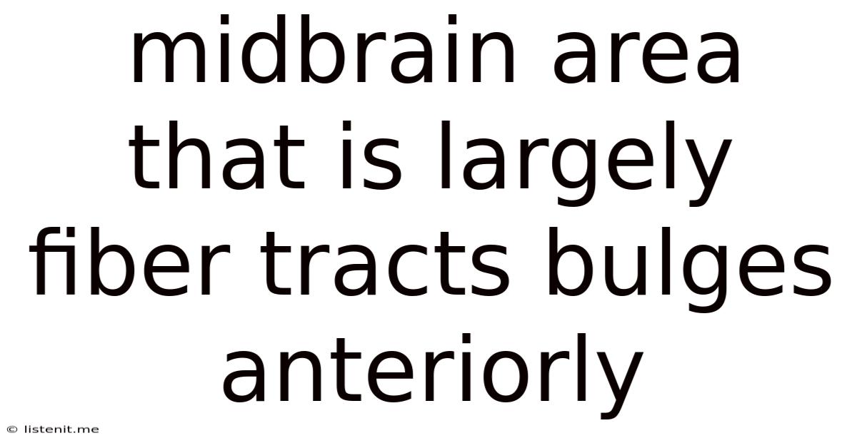 Midbrain Area That Is Largely Fiber Tracts Bulges Anteriorly