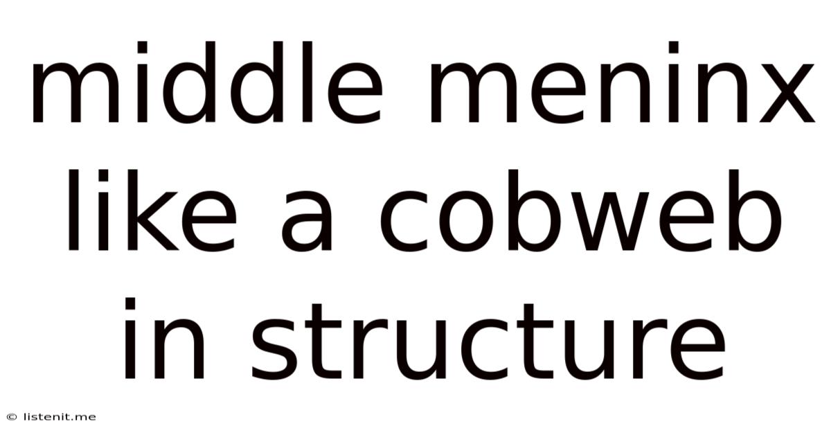 Middle Meninx Like A Cobweb In Structure