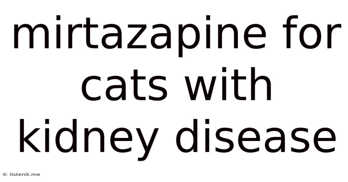 Mirtazapine For Cats With Kidney Disease