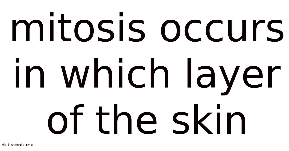 Mitosis Occurs In Which Layer Of The Skin