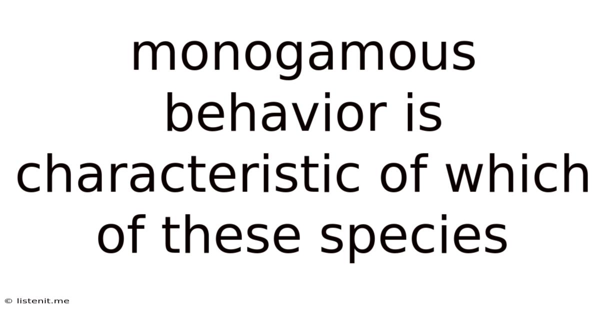 Monogamous Behavior Is Characteristic Of Which Of These Species