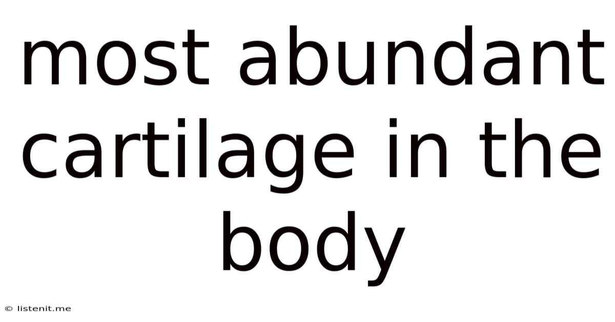 Most Abundant Cartilage In The Body