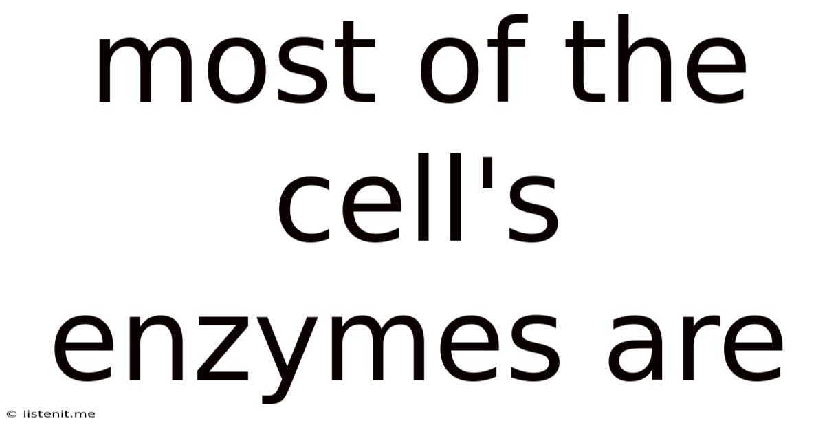 Most Of The Cell's Enzymes Are