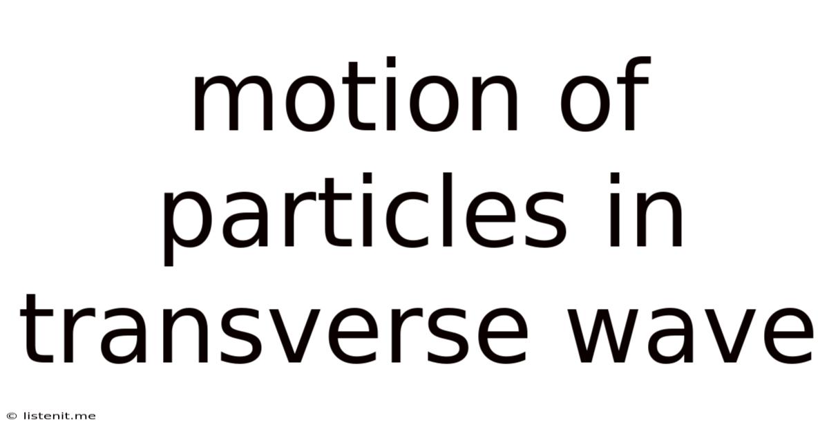 Motion Of Particles In Transverse Wave