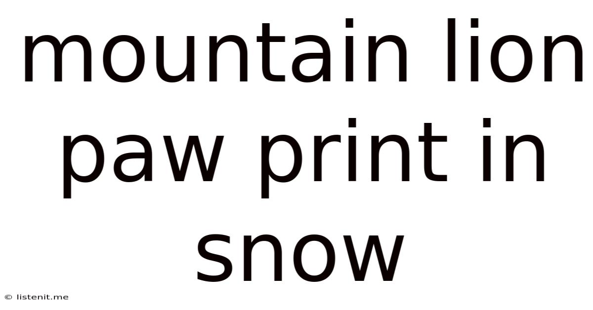 Mountain Lion Paw Print In Snow
