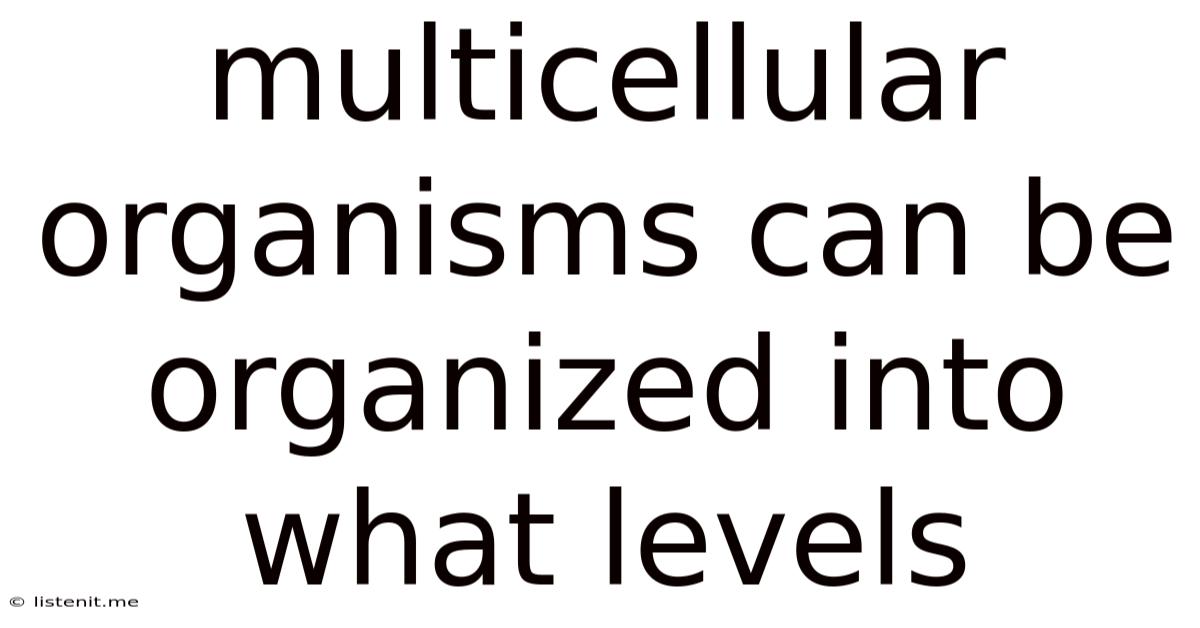 Multicellular Organisms Can Be Organized Into What Levels