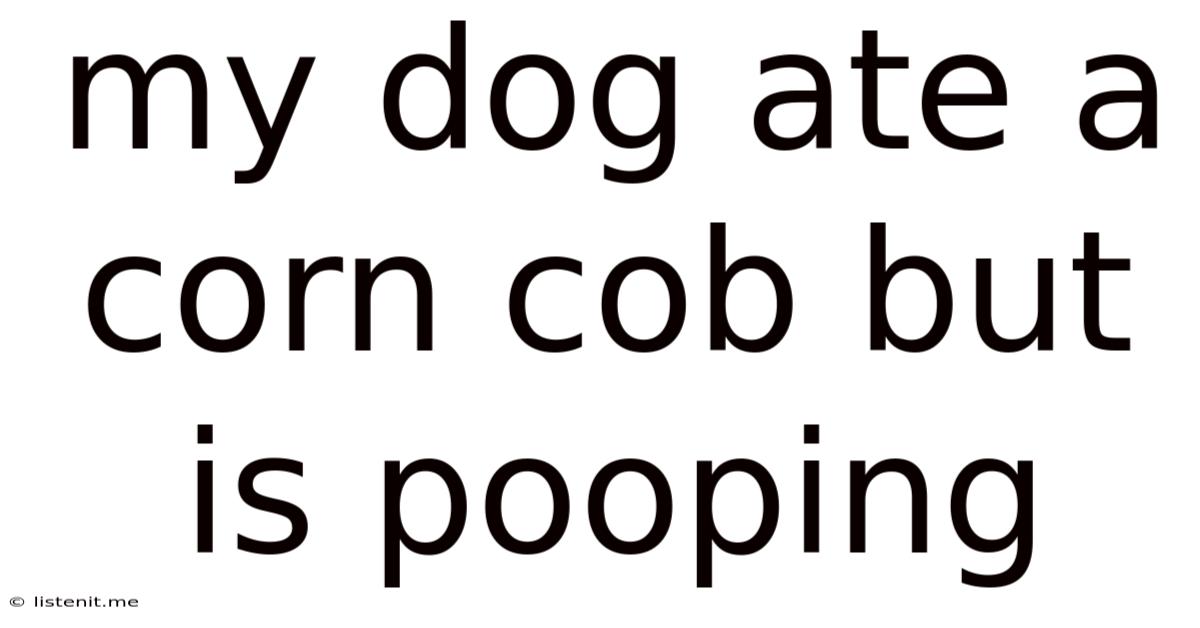 My Dog Ate A Corn Cob But Is Pooping