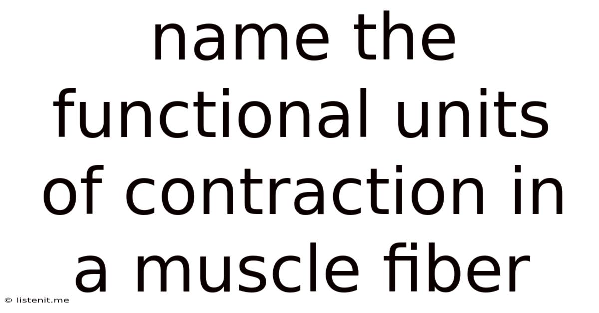 Name The Functional Units Of Contraction In A Muscle Fiber