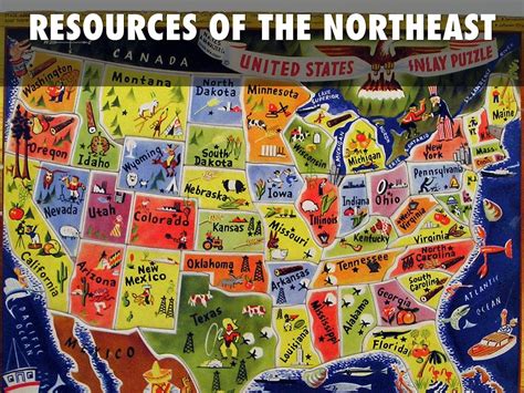 Natural Resources Of The Northeast Region Of The United States