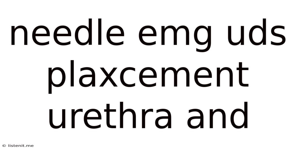 Needle Emg Uds Plaxcement Urethra And