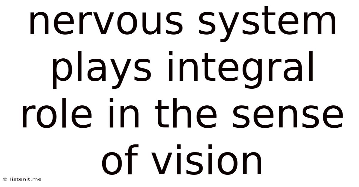 Nervous System Plays Integral Role In The Sense Of Vision