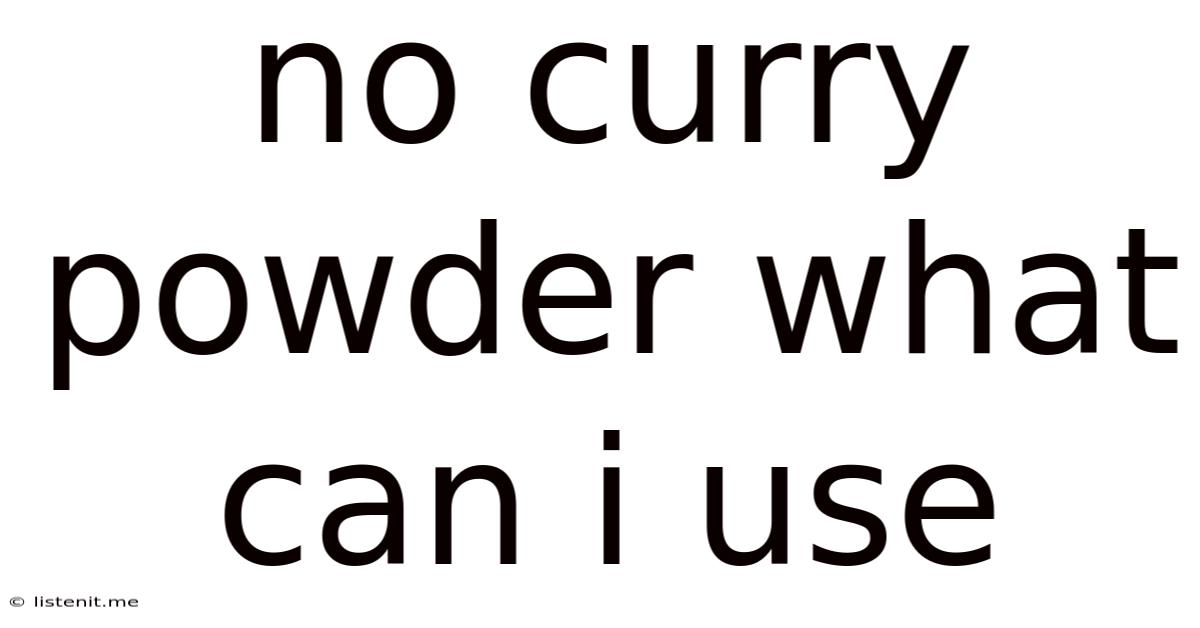No Curry Powder What Can I Use