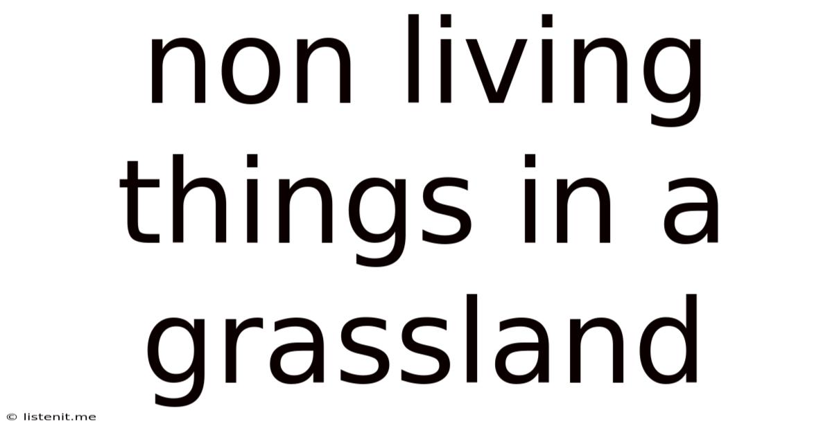 Non Living Things In A Grassland