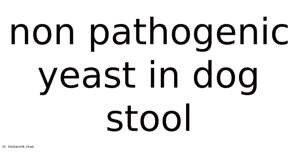 Non Pathogenic Yeast In Dog Stool